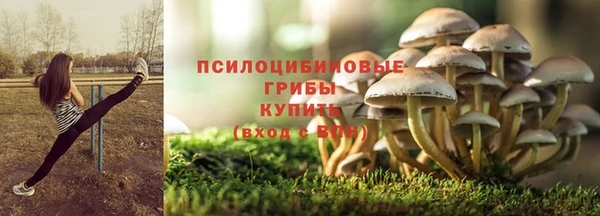 ГАЛЛЮЦИНОГЕННЫЕ ГРИБЫ Баксан