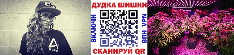 даркнет сайт Черноголовка MEGA зеркало Бошки Шишки THC 21%